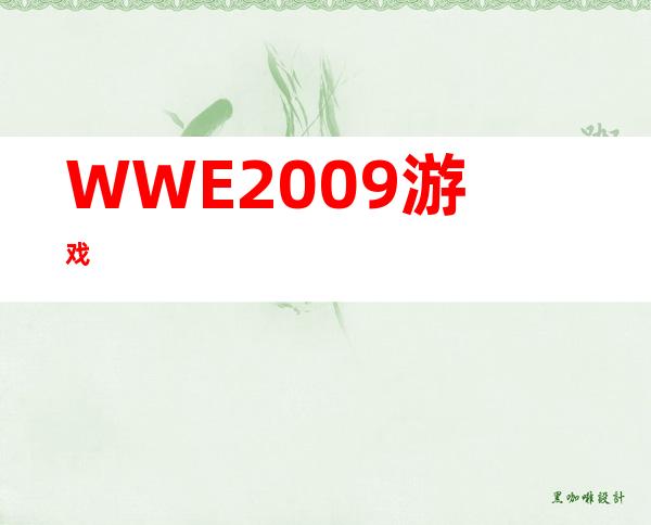 WWE2009游戏