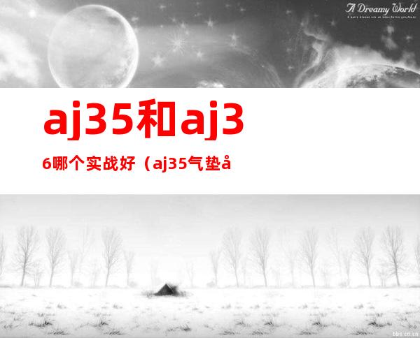 aj35和aj36哪个实战好（aj35气垫容不容易爆）