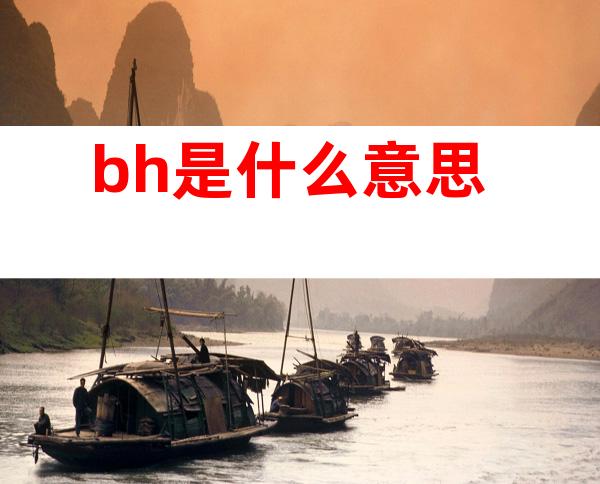 bh是什么意思