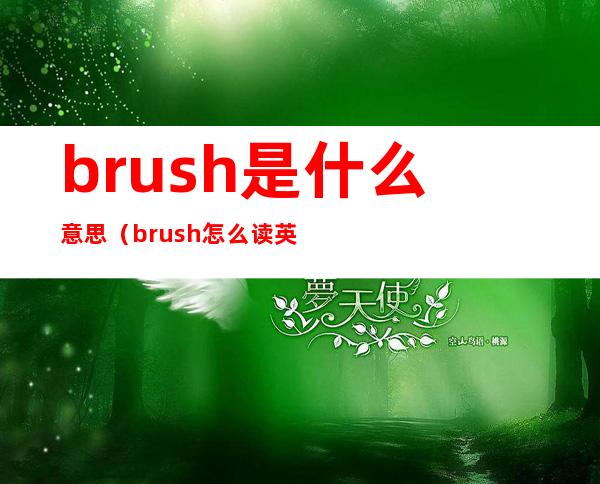 brush是什么意思（brush怎么读英语语音）