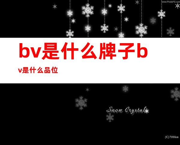 bv是什么牌子bv是什么品位