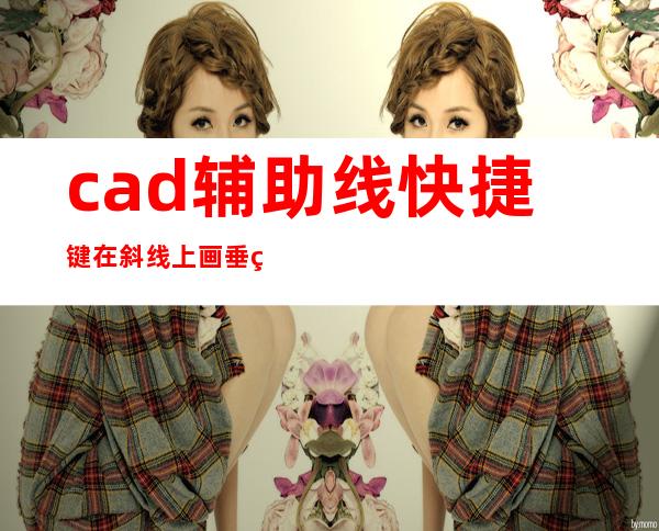 cad辅助线快捷键在斜线上画垂直线——cad辅助线快捷键怎么确定方向