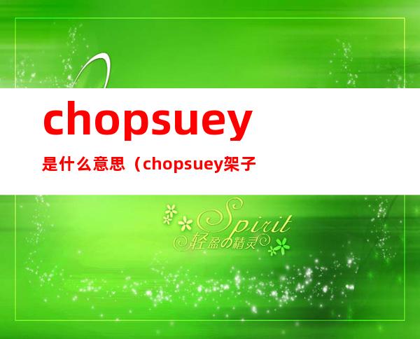 chopsuey是什么意思（chopsuey架子鼓视频）