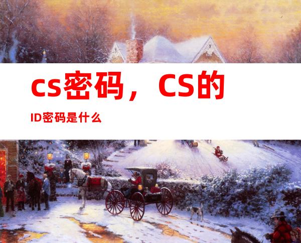 cs密码，CS的ID密码是什么