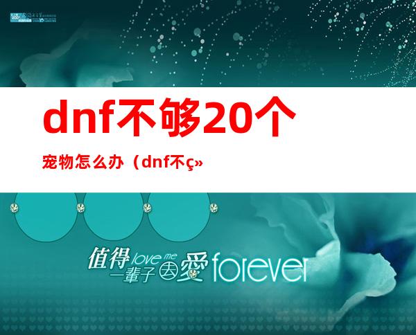 dnf不够20个宠物怎么办（dnf不给经验不掉东西）