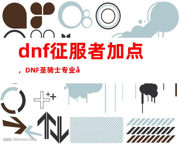 dnf征服者加点，DNF圣骑士专业刷图加点