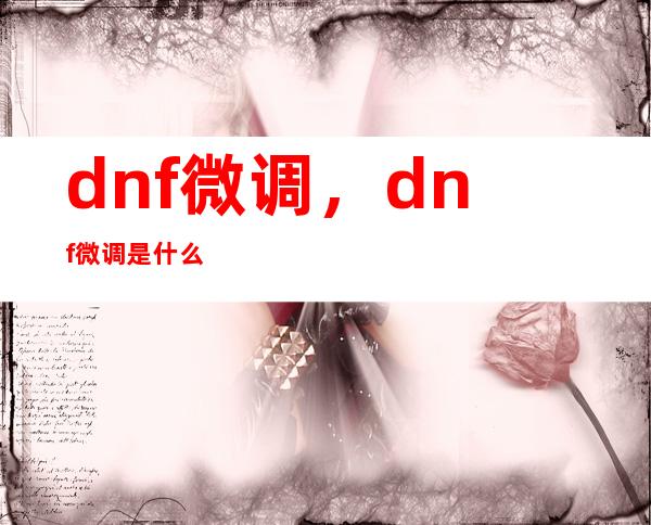 dnf微调，dnf微调是什么