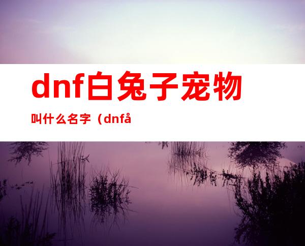 dnf白兔子宠物叫什么名字（dnf宠物兔子可以进化吗）