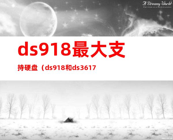 ds918+最大支持硬盘（ds918和ds3617区别）