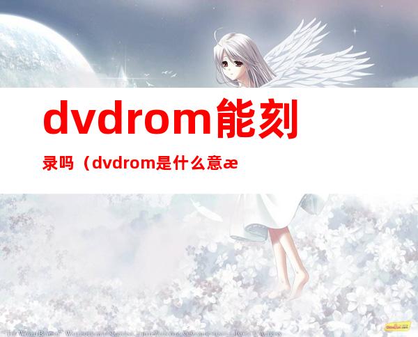 dvd rom能刻录吗（dvdrom是什么意思）