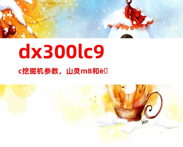 dx300lc9c挖掘机参数，山灵m8和艾巴索dx300