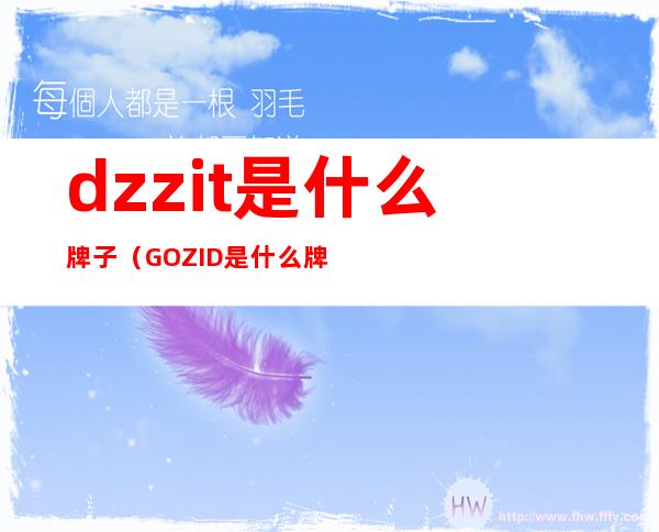 dzzit是什么牌子（GOZID是什么牌子）