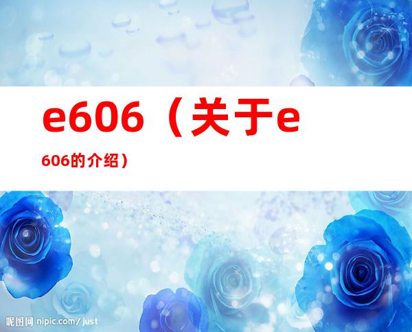 e606（关于e606的介绍）