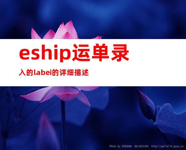 eship运单录入的labei的详细描述要怎么写（eship运单录入的交运物品详细说明）