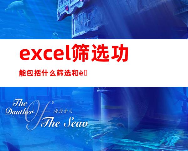 excel筛选功能包括什么筛选和自动筛选（excel筛选功能怎么显示筛选数量）