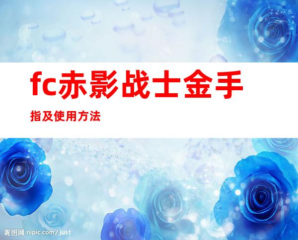 fc赤影战士金手指及使用方法