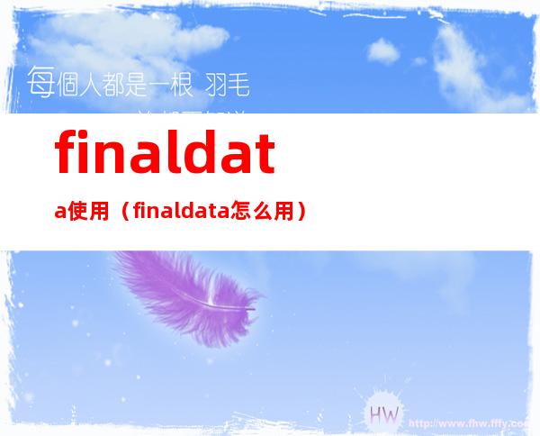 finaldata使用（finaldata怎么用）