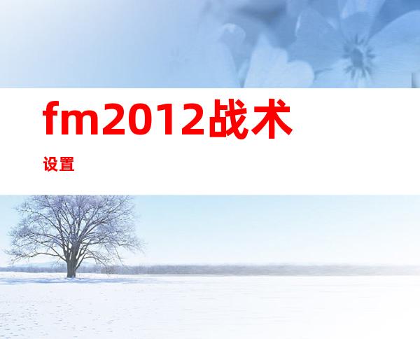 fm2012战术设置