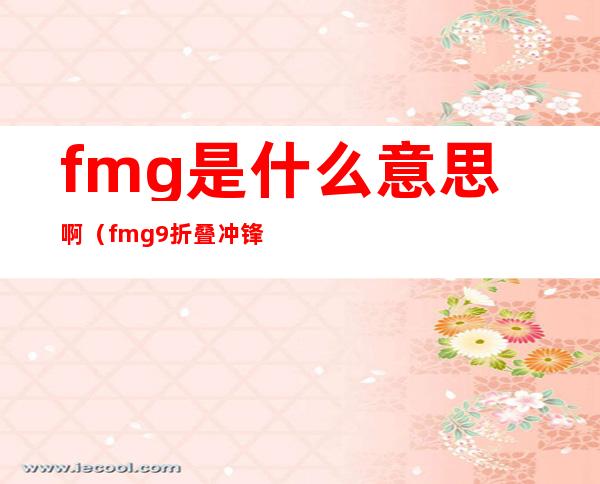 fmg是什么意思啊（fmg9折叠冲锋枪）