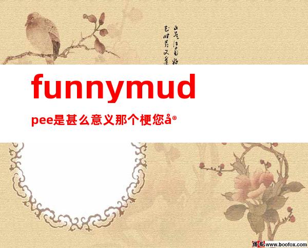 funny mud pee是甚么意义 那个梗您实的懂了吗？