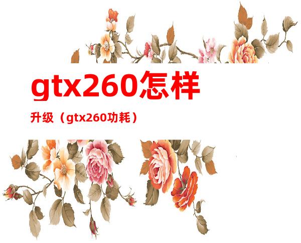 gtx260+怎样升级（gtx260功耗）