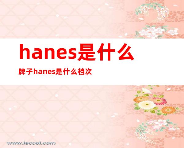 hanes是什么牌子 hanes是什么档次