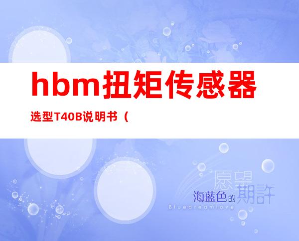 hbm扭矩传感器选型T40B说明书（HBM扭矩传感器怎么看量程）