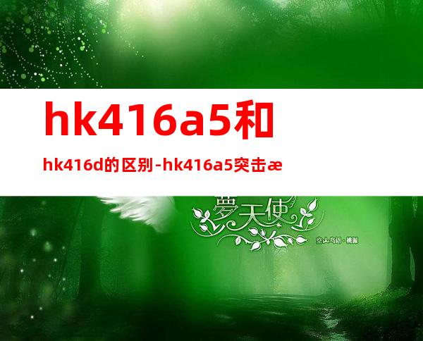 hk416a5和hk416d的区别-hk416a5突击步枪图片