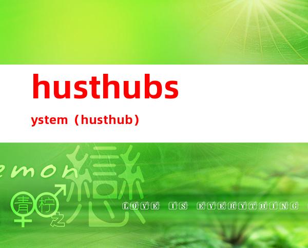 hust hub system（hust hub）