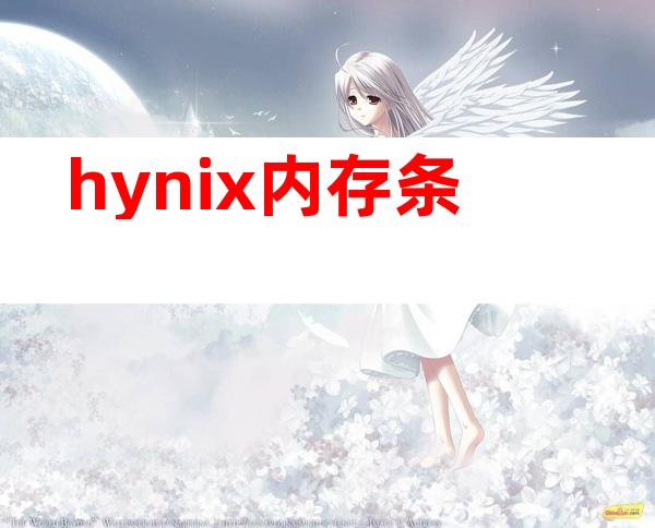 hynix内存条