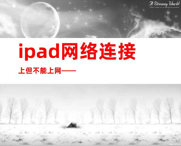 ipad网络连接上但不能上网——怎么用iphone连接电脑上网