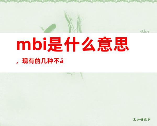 mbi是什么意思，现有的几种不同的mbi都是做什么的