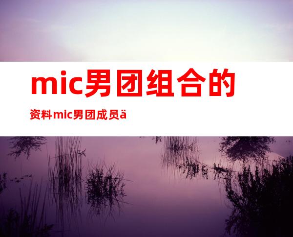 mic男团组合的资料 mic男团成员们的简历照片