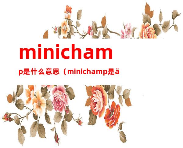 minichamp是什么意思（minichamp是什么意思）