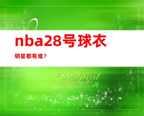 nba 28号球衣明星都有谁？