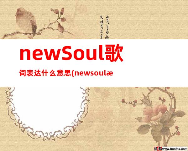 newSoul歌词表达什么意思(newsoul歌表达了什么)