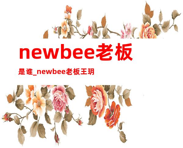 newbee老板是谁_newbee老板王玥