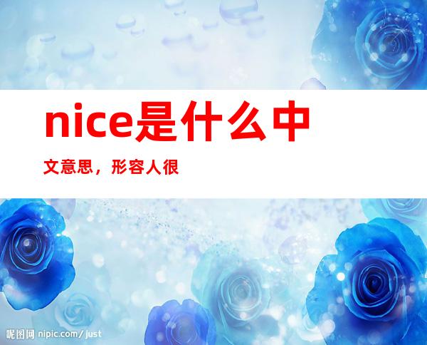 nice是什么中文意思，形容人很Nice是什么意思