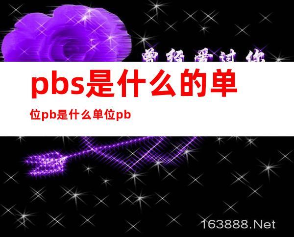 pbs是什么的单位 pb是什么单位 pbu部门是什么意思 _单位