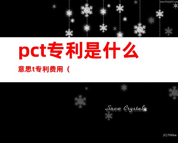 pct专利是什么意思t专利费用（pct专利和发明专利的区别）