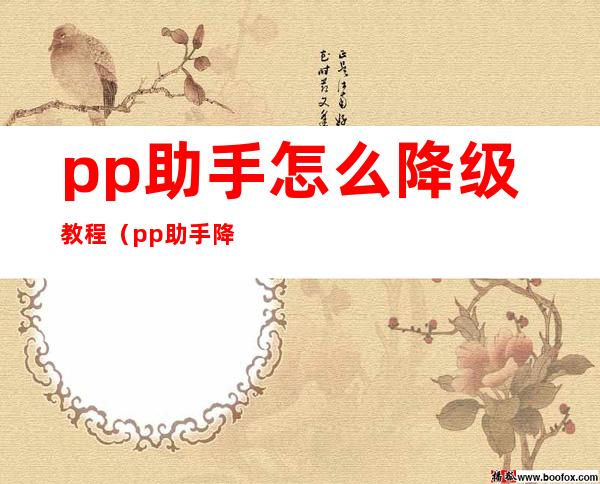 pp助手怎么降级教程（pp助手降级教程）