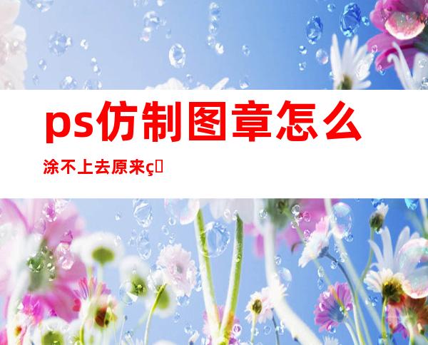 ps仿制图章怎么涂不上去原来的没有消失——ps仿制图章怎么涂不上图片跟着图章走