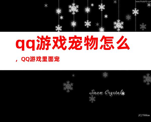 qq游戏 宠物怎么，QQ游戏里面宠物怎么获得