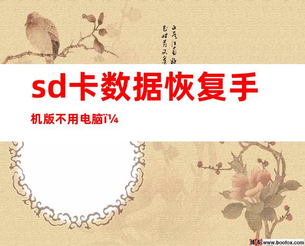 sd卡数据恢复手机版不用电脑（sd卡数据恢复软件免费版）