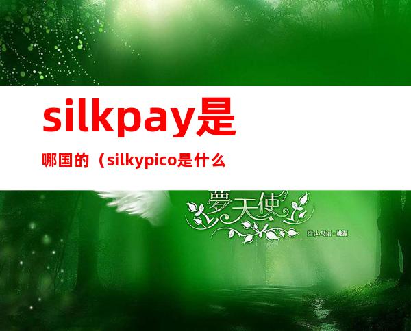 silkpay是哪国的（silkypico是什么）