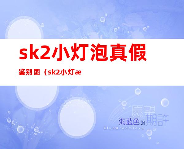 sk2小灯泡真假鉴别图（sk2小灯泡白天能用吗）