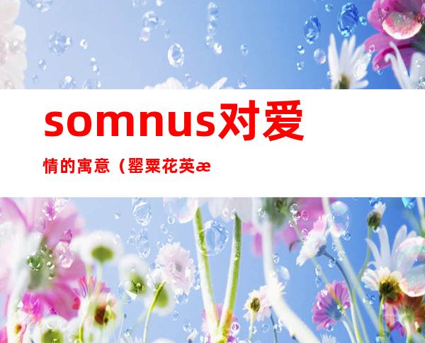 somnus对爱情的寓意（罂粟花英文somnus）