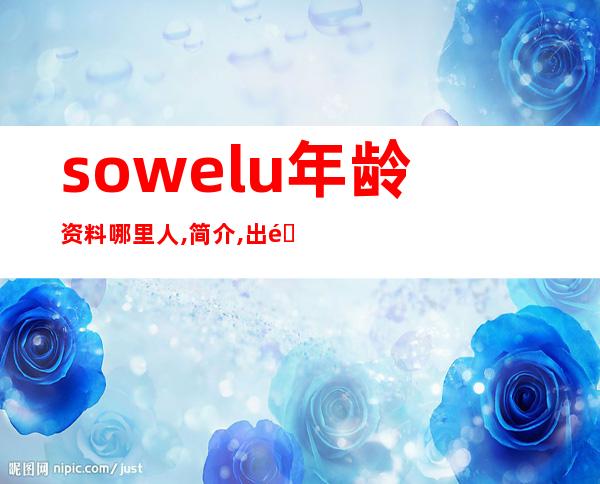 sowelu年龄资料哪里人,简介,出道作品,爱好