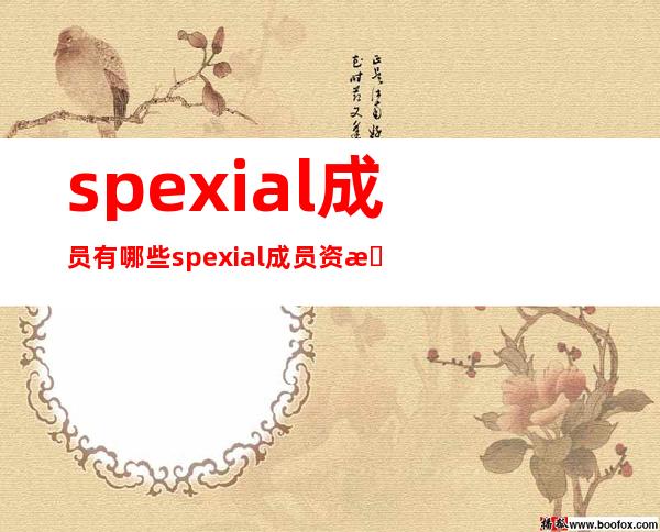 spexial成员有哪些 spexial成员资料简历