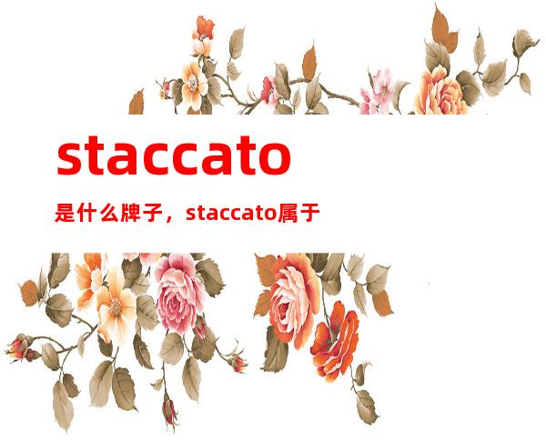 staccato是什么牌子，staccato属于什么档次？